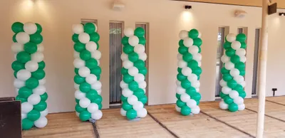 ballonnen