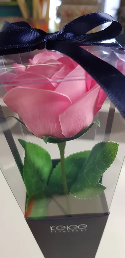 badgeschenken